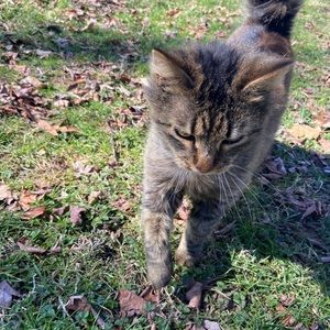 Meet your Posher, Amber